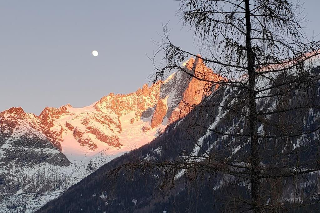 Bel Appartement Entier En Style Chalet A Chamonix Exteriör bild